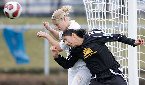 可以看出 可以看出