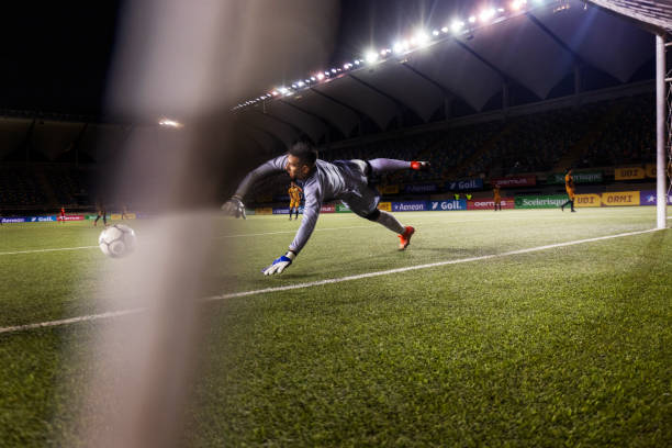 了这条探索 了这条探索